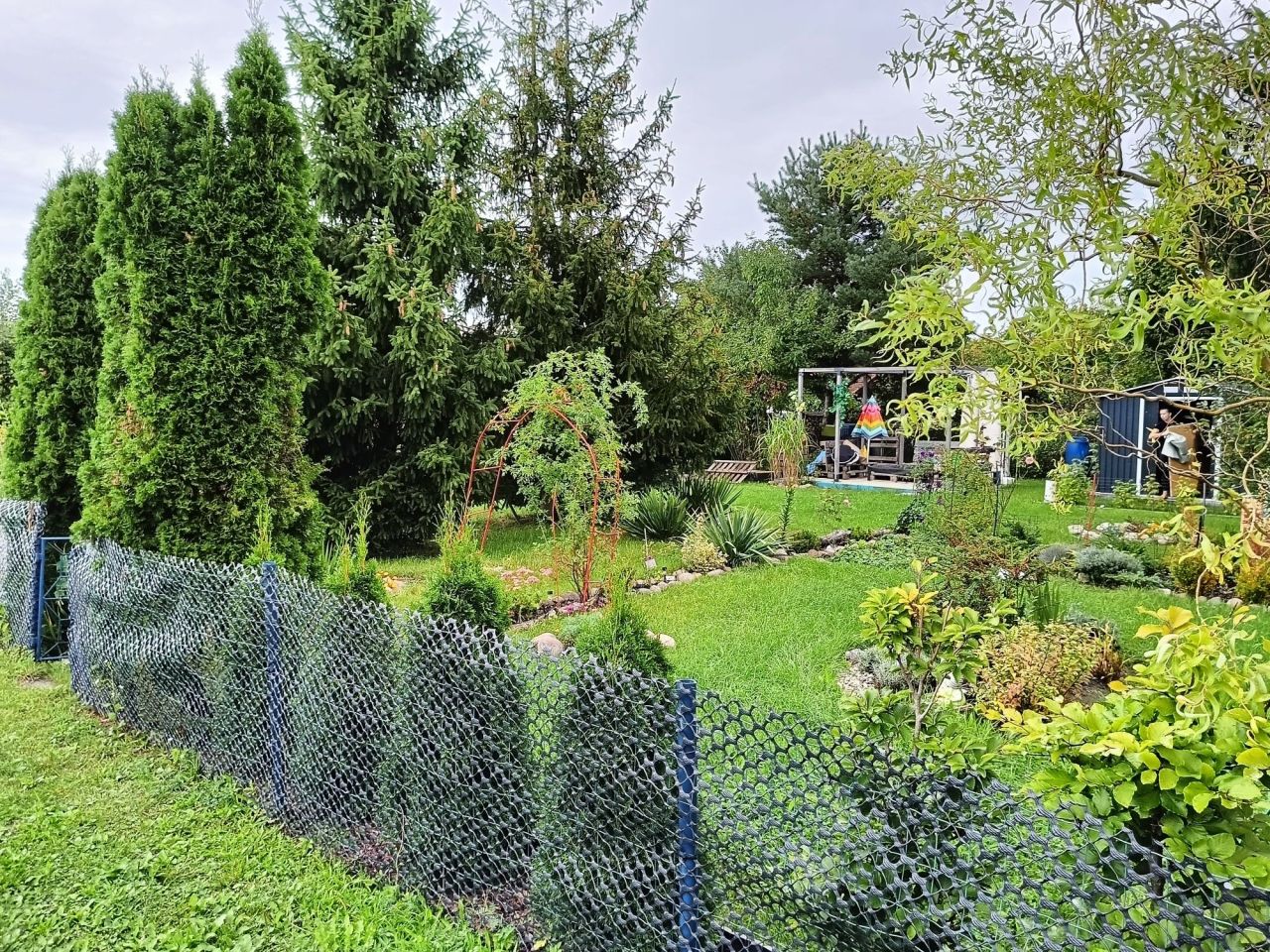 Działka rod Wrocław Psie Pole, ul. Bierutowska. Zdjęcie 4