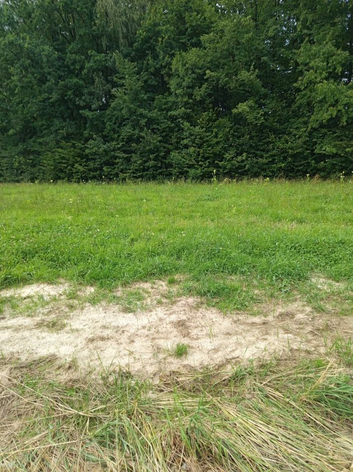 Działka budowlana Pisarzowice. Zdjęcie 7