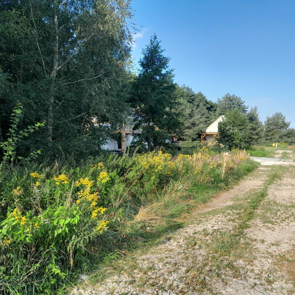 Działka rolno-budowlana Biedaszków Wielki. Zdjęcie 2