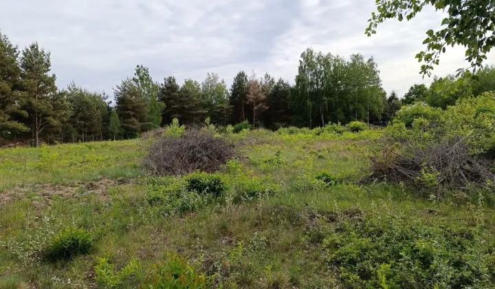 Działka budowlana Mieszkowo, ul. Szklarniowa