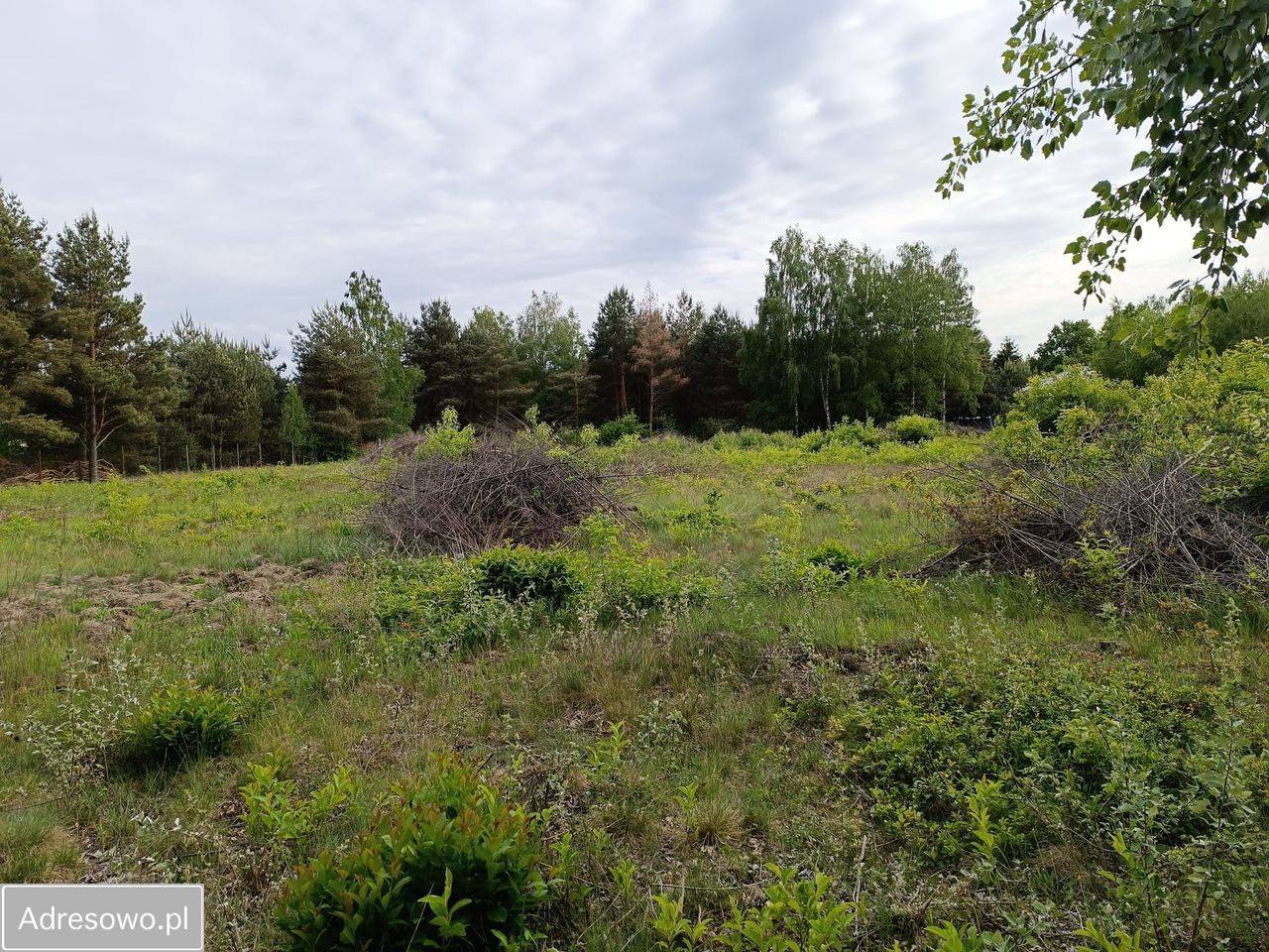 Działka budowlana Mieszkowo, ul. Szklarniowa