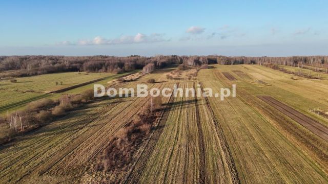 Działka budowlana Jodłówka. Zdjęcie 7