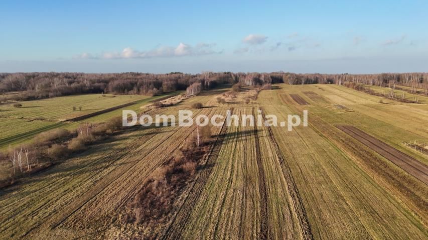 Działka budowlana Jodłówka. Zdjęcie 7