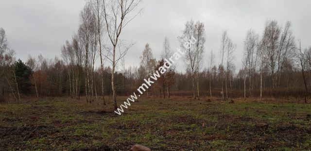 Działka budowlana Osowiec, ul. Szkolna. Zdjęcie 5