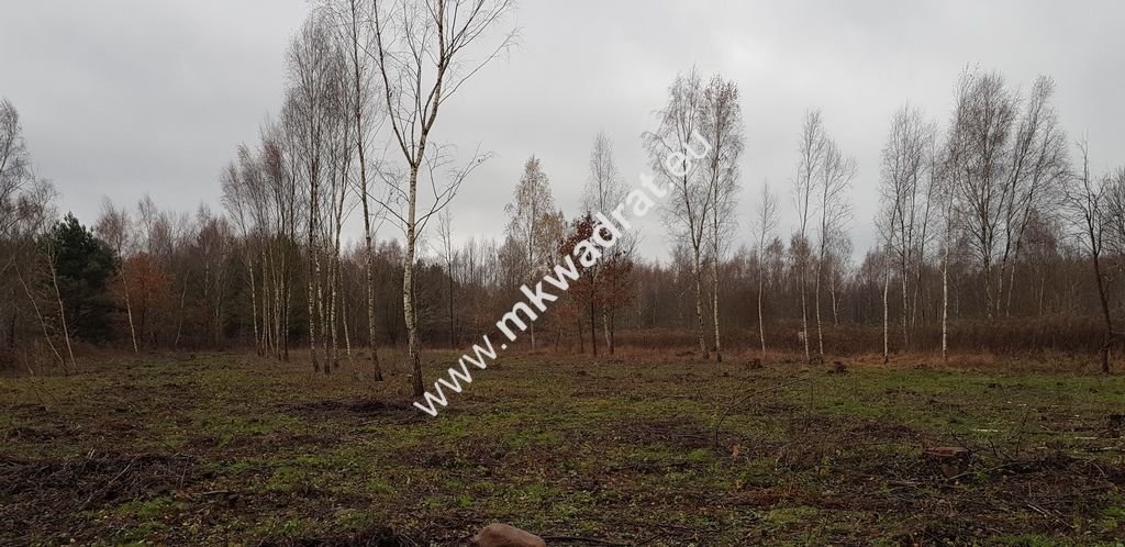 Działka budowlana Osowiec, ul. Szkolna. Zdjęcie 5