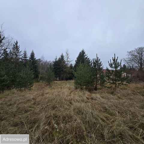 Działka rolno-budowlana Bolechowo. Zdjęcie 1