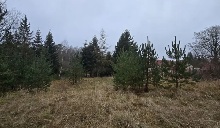 Działka rolno-budowlana Bolechowo