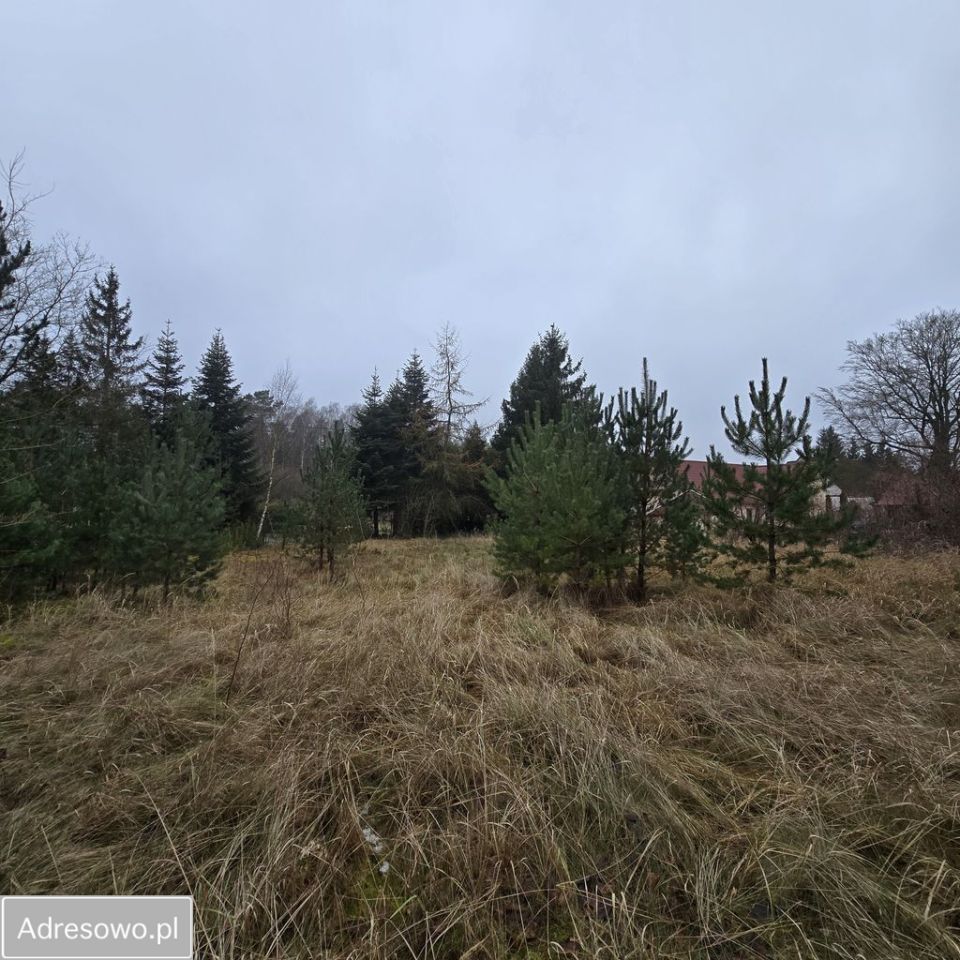 Działka rolno-budowlana Bolechowo. Zdjęcie 1