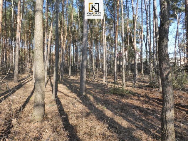 Działka budowlana Budy Wielgoleskie. Zdjęcie 4