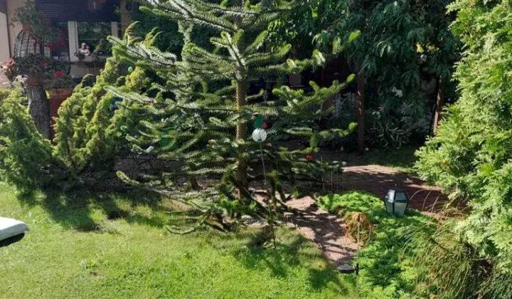 dom wolnostojący, 3 pokoje Szczecin Żelechowa