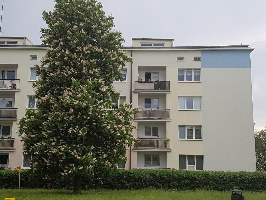 Mieszkanie 1-pokojowe Bydgoszcz Kapuściska, al. Planu 6-Letniego
