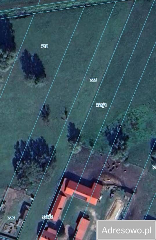 Działka rolno-budowlana Strych. Zdjęcie 2