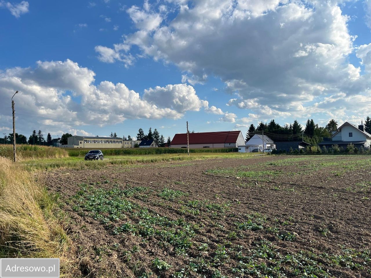 Działka budowlana Piława Dolna. Zdjęcie 7
