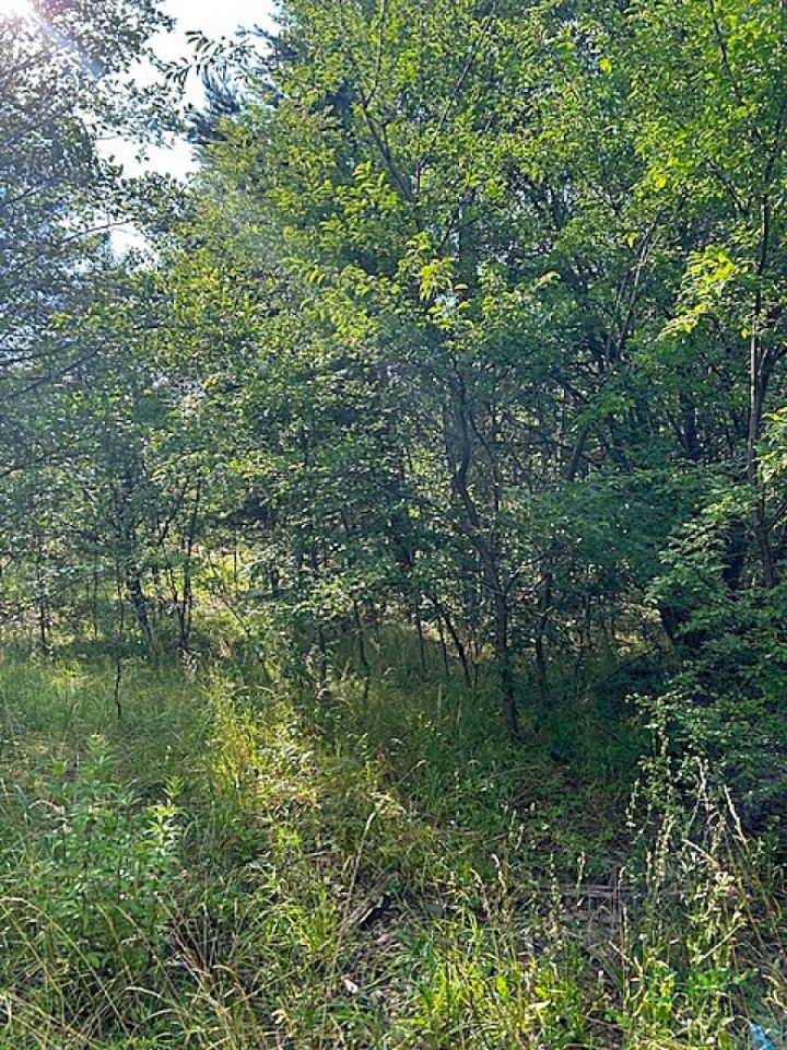 Działka inna Mysłowice, ul. 11 Listopada. Zdjęcie 5