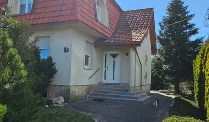 dom wolnostojący, 10 pokoi Jastrzębie-Zdrój, ul. Dworcowa