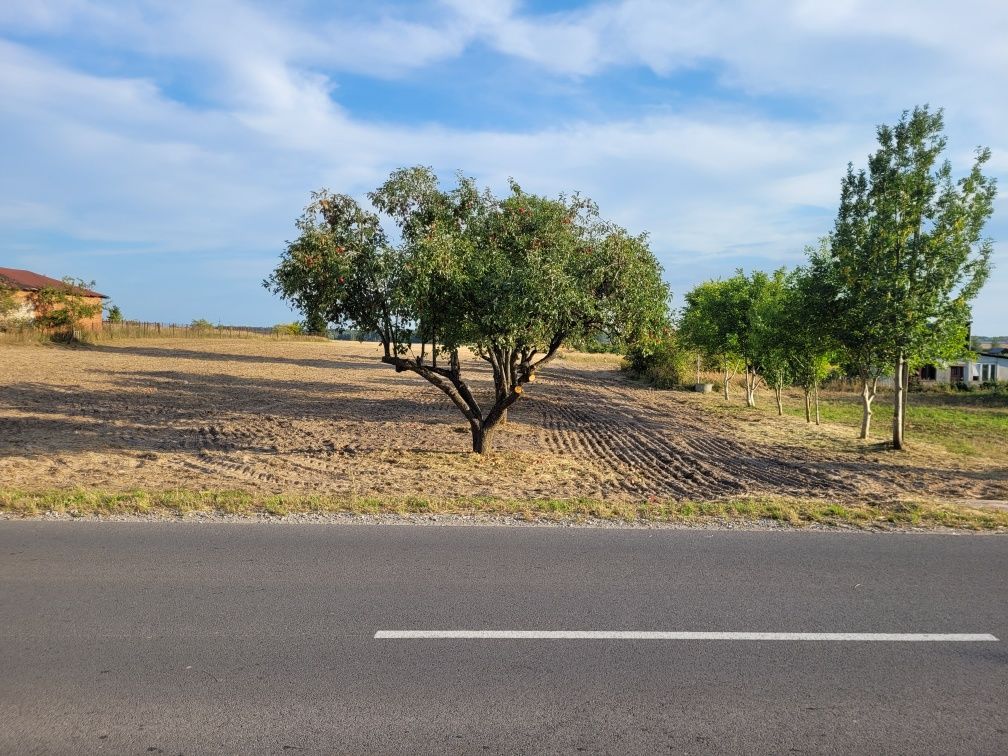 Działka budowlana Piaski. Zdjęcie 3