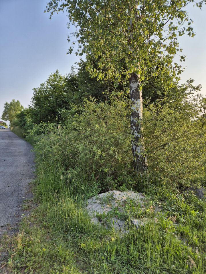 Działka budowlana Żary Kunice Żarskie, ul. gen. Ludwika Bittnera. Zdjęcie 6