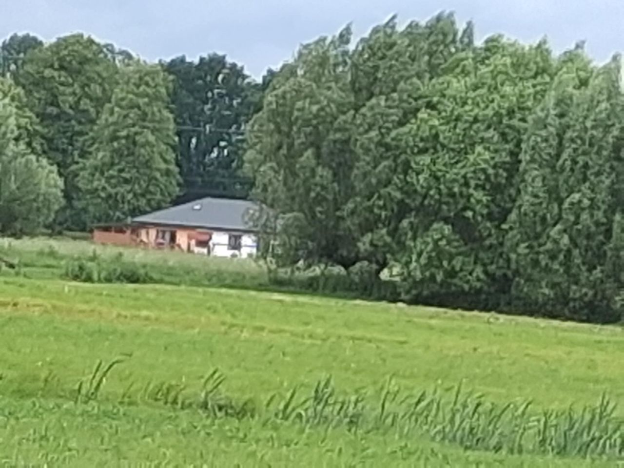 Działka rolno-budowlana Różany. Zdjęcie 4