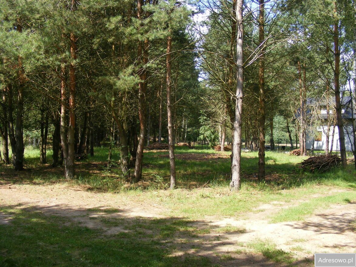 Działka rekreacyjna Chłopowo. Zdjęcie 2