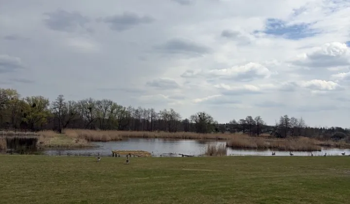 Działka budowlana Kiekrz, ul. Czysta