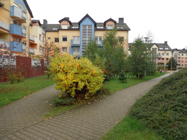 Mieszkanie 3-pokojowe Wrocław Muchobór Wielki, ul. Trawowa. Zdjęcie 1