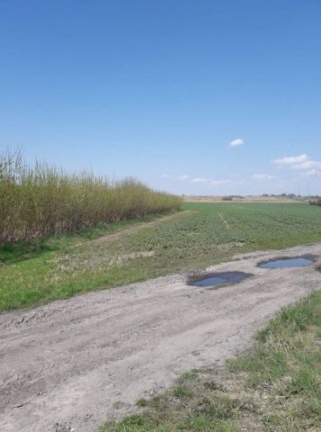 Działka rolno-budowlana Radzionków. Zdjęcie 1