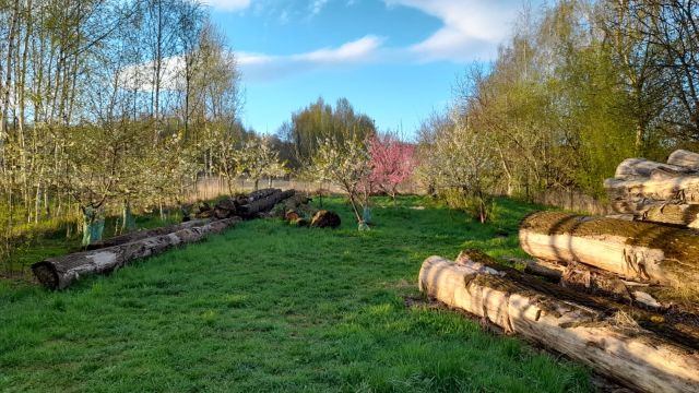 Działka rekreacyjna Będziemyśl. Zdjęcie 1