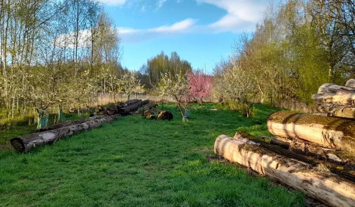 Działka rekreacyjna Będziemyśl