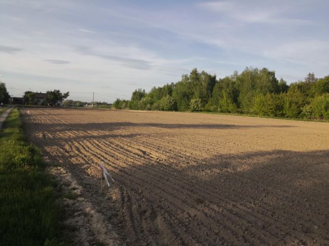 Działka rolno-budowlana Cholewy. Zdjęcie 1