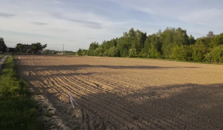 Działka rolno-budowlana Cholewy