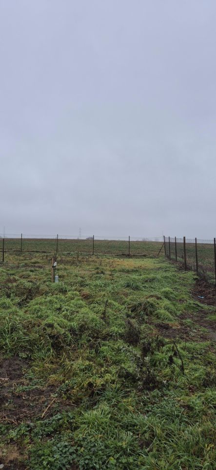 dom wolnostojący, 4 pokoje Michalin. Zdjęcie 20