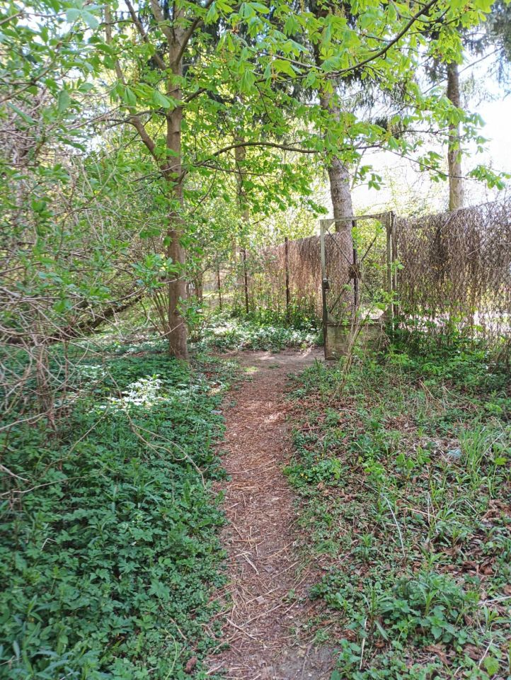 Działka rod Toruń. Zdjęcie 8