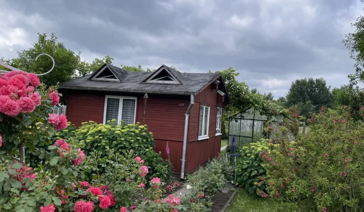 Działka rod Łódź Bałuty, ul. Plantowa