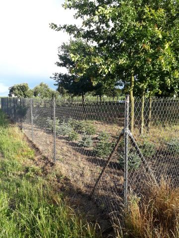 gospodarstwo, 3 pokoje Janów Ruszki. Zdjęcie 1