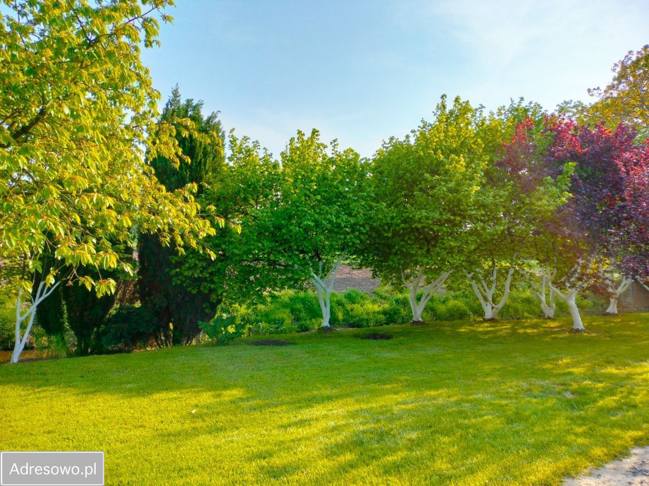 dom wolnostojący, 6 pokoi Żarki Średnie. Zdjęcie 7