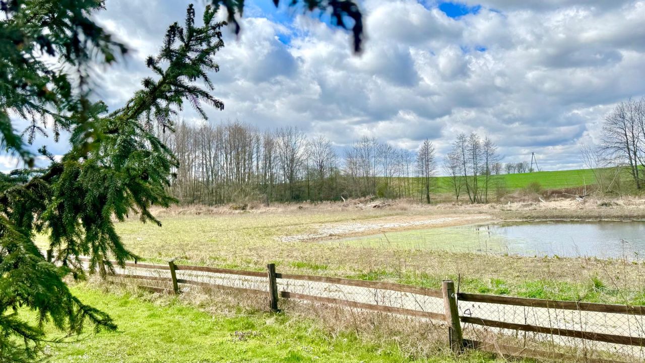 dom wolnostojący, 5 pokoi Wiśniowa. Zdjęcie 12