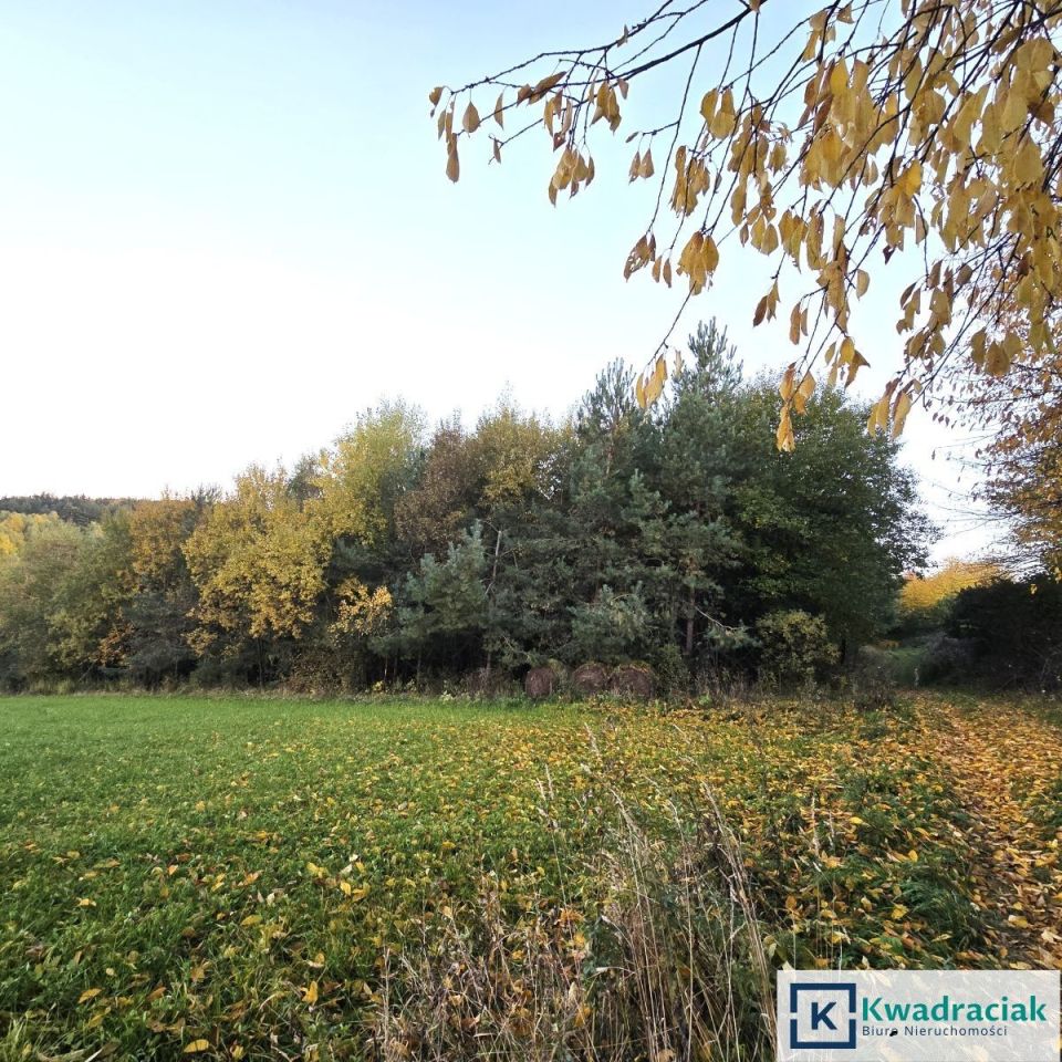 Działka leśna Wolica. Zdjęcie 3