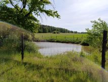 Działka rolna Pieszkowice. Zdjęcie 2