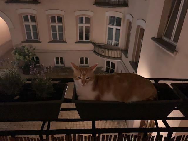 Mieszkanie 2-pokojowe Warszawa Śródmieście, ul. Aleje Jerozolimskie. Zdjęcie 15