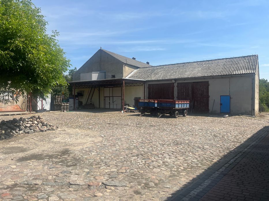 gospodarstwo Jeziorki Kosztowskie. Zdjęcie 2