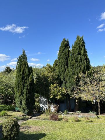 Działka rekreacyjna Gdańsk Jasień, ul. Gronostajowa. Zdjęcie 1