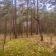 Działka leśna Osiedle Wilga, ul. Sarenek. Zdjęcie 8