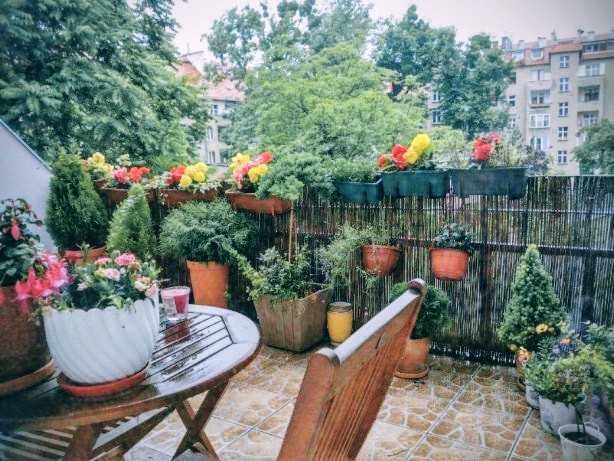 Mieszkanie 2-pokojowe Wrocław Śródmieście, ul. Odona Bujwida. Zdjęcie 2