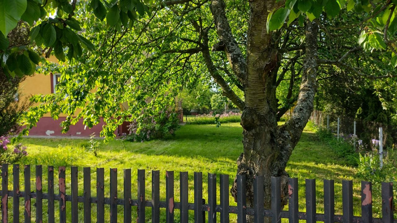 dom wolnostojący, 3 pokoje Sulmierzyce, Południowa. Zdjęcie 5