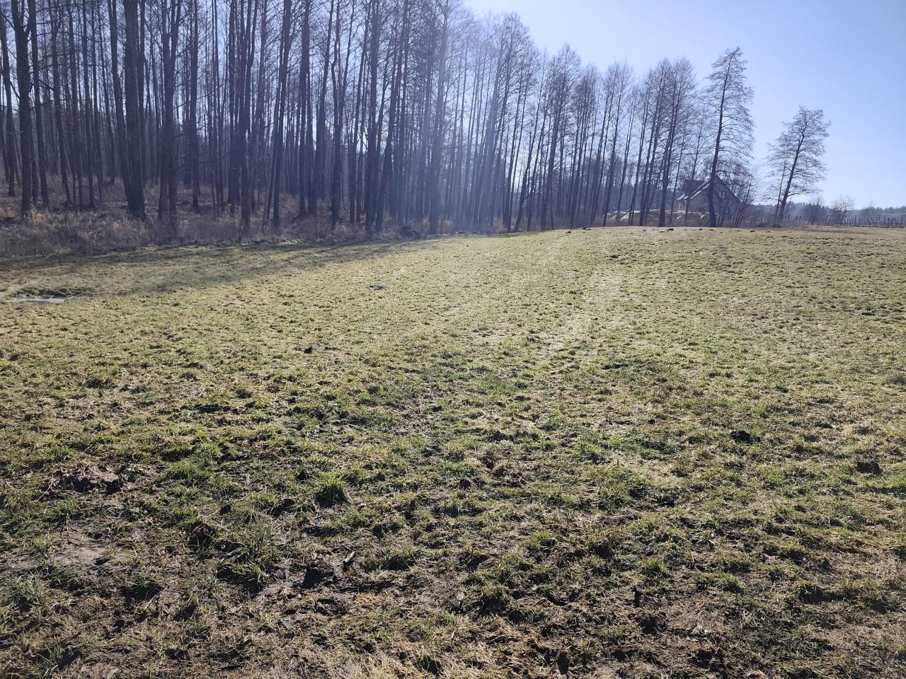 Działka rolna Okopy. Zdjęcie 5
