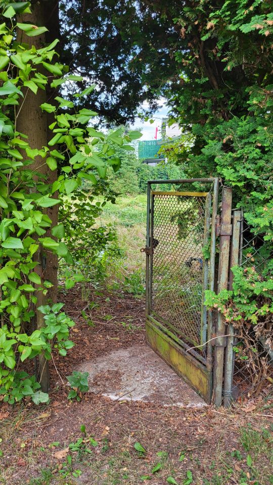 Działka rod Warszawa Targówek, ul. Janowiecka. Zdjęcie 9