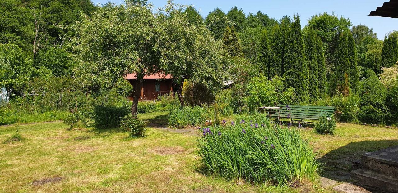 Działka rod Gdańsk Oliwa, ul. Bytowska. Zdjęcie 5