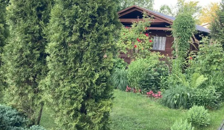Działka rod Częstochowa, ul. Wrzosowa