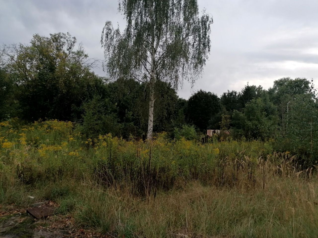 Działka budowlana Zabrze Biskupice, ul. Bytomska. Zdjęcie 6