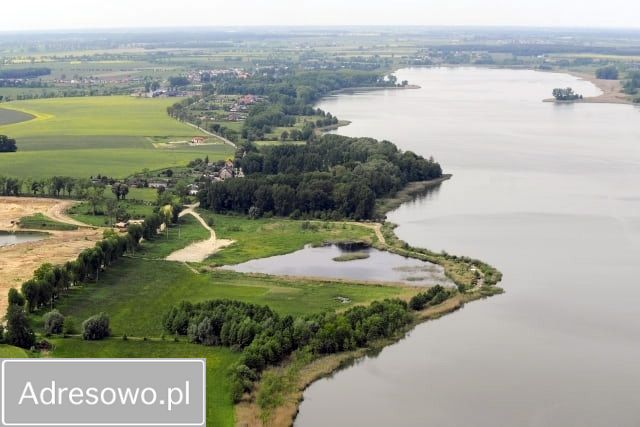 Działka leśna Zborowo. Zdjęcie 1